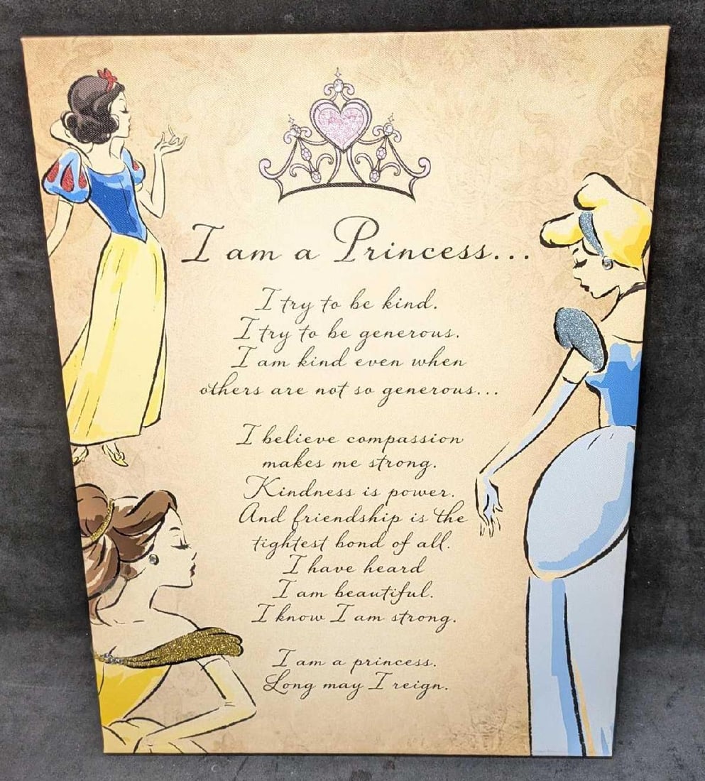 Disney I Am A Princess Print On Canvas: Disney I Am A Princess Print On Canvas. There was some glitter added to the princesses. The canvas is approx 15" x 1" x 20" and it weighs 1.80lbs. There is a small crease on the canvas by Cinderella. 