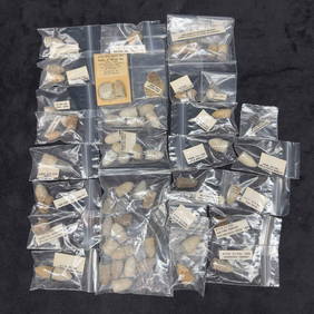 Collection of Civil War Relics Artillery Bullets Shells Fired Shot Casing Miscellaneous Battlefield (1 of 19)