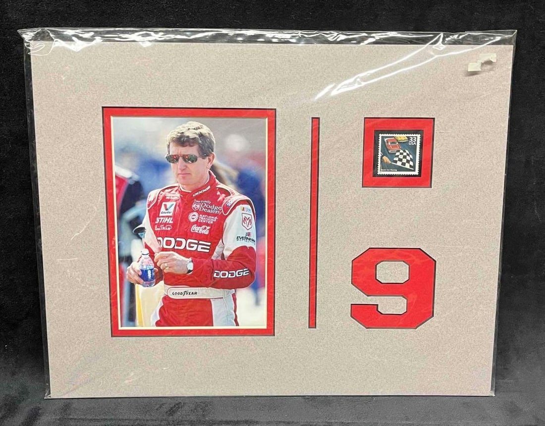 Postage Stamp Art Stock Car Racing #9 & Photo Print (1 of 7)