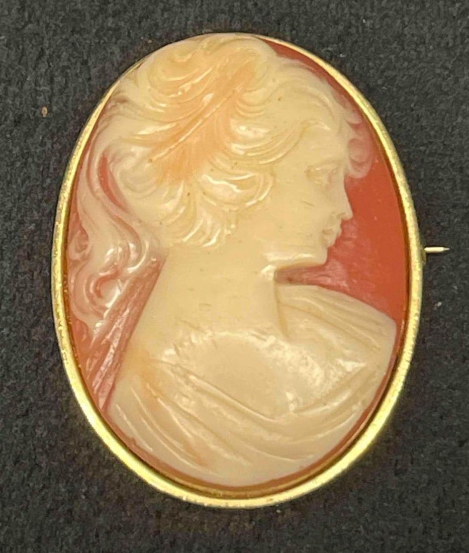 Gold Tone Large Vintage Cameo Brooch (1 of 5)