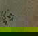 item-207503442=7