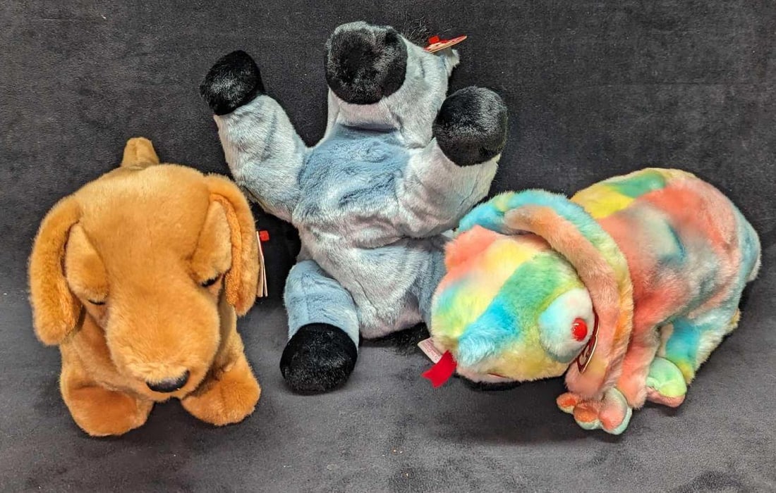 Ty Beanie Buddies Rainbow Lefty Weenie (1 of 11)