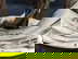 item-209082355=8