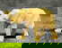 item-209082450=10