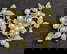 item-209371466=3