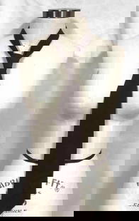 Vintage Yeves Saint Laurent YSL Neck Tie: This lot contains a vintage Yves Saint Laurent YSL neck tie. The tie is 100% silk. It is approx 57" x 3 1/2" and weighs about 0.1lbs. Overall the tie is in good used condition with some light wear fro