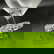 item-209371774=8