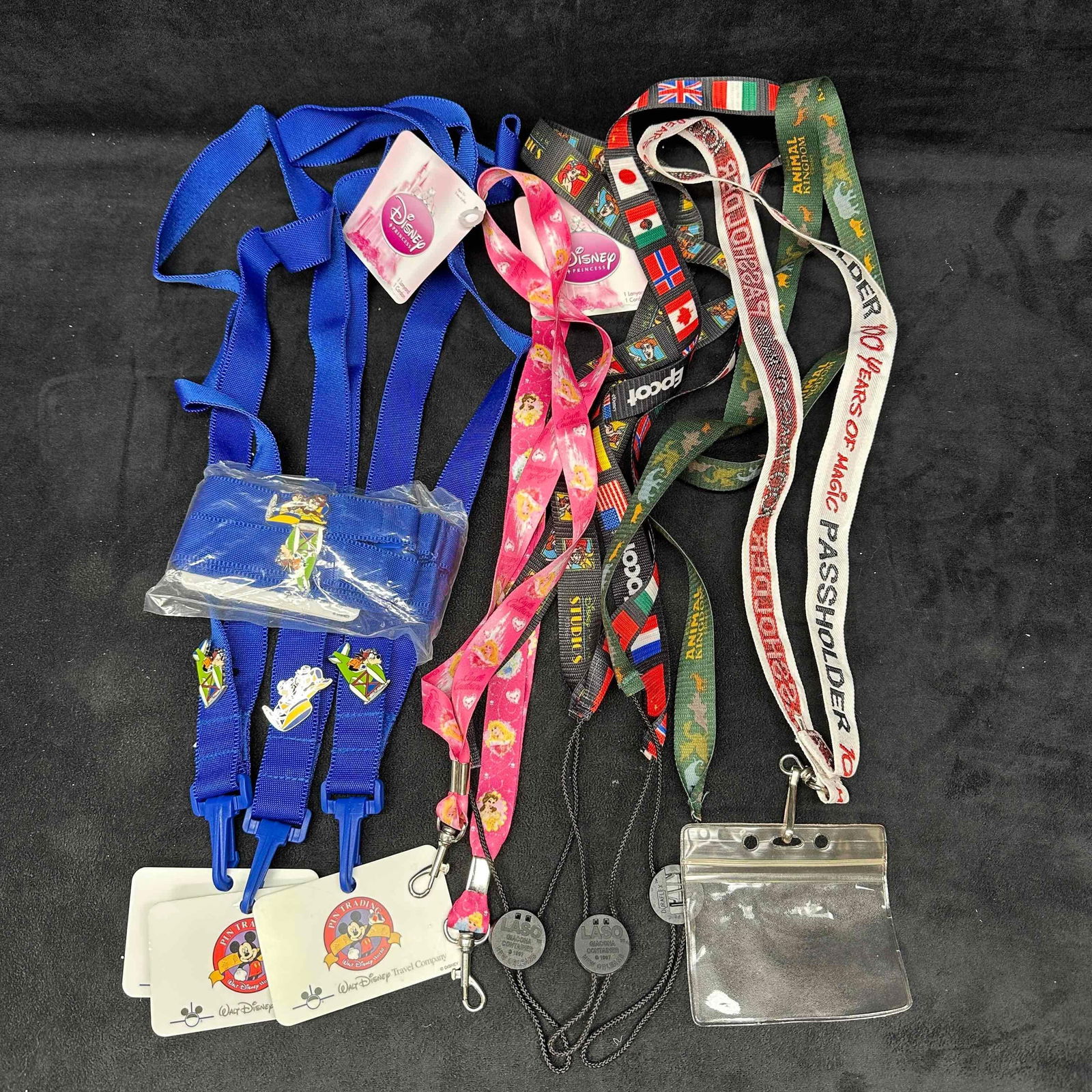 Disney Pin Trading Pins and Lanyard Set Hollywood Studios (1 of 5)