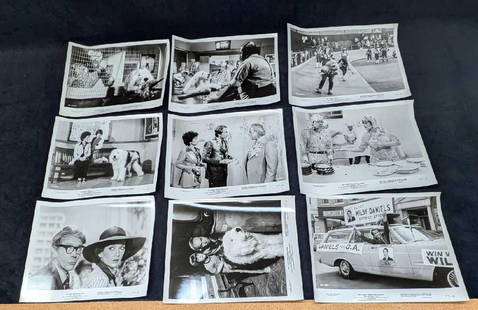 9 Disney The Shaggy D.A. B/W Publicity Photos: 9 Disney The Shaggy D.A. B/W Publicity Photos. Each photo print is approx 10" x 8" and the total weight is 0.19lb. Some of the corners are creased and the envelope has some shelf wear.