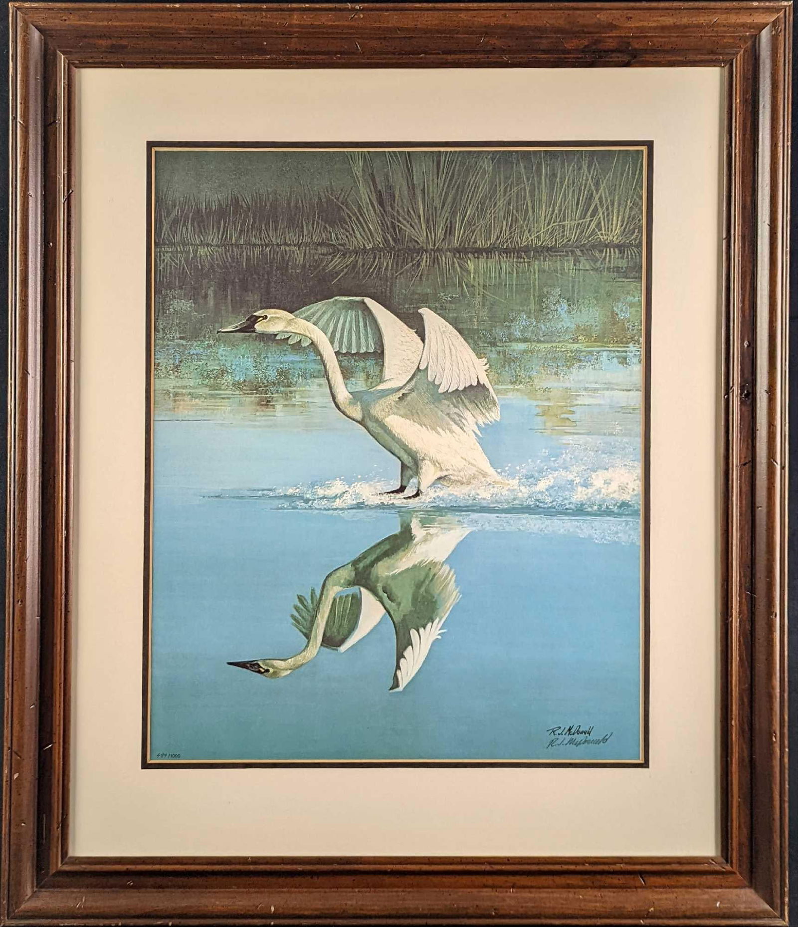 F39 Framed LE Ralph McDonald Whistling Swan Print: Framed Signed And Numbered 'Whistling Swan" by artist Ralph McDonald. This print is numbered #489 out of #1000. The framed print is approx 25" x 1" x 29 1/2" and it weighs 9lbs. The print/image i
