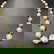item-210079837=9