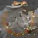 item-210196481=11