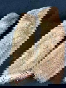 Fox Fur Collars Brown Fox Fur Vintage Collars: Fox Fur Collars Brown Fox Fur Vintage Collars This is a lot of two brown fox fur coat colors that you can rap around your neck to keep warm. These are in good vintage condition with some small seam fr