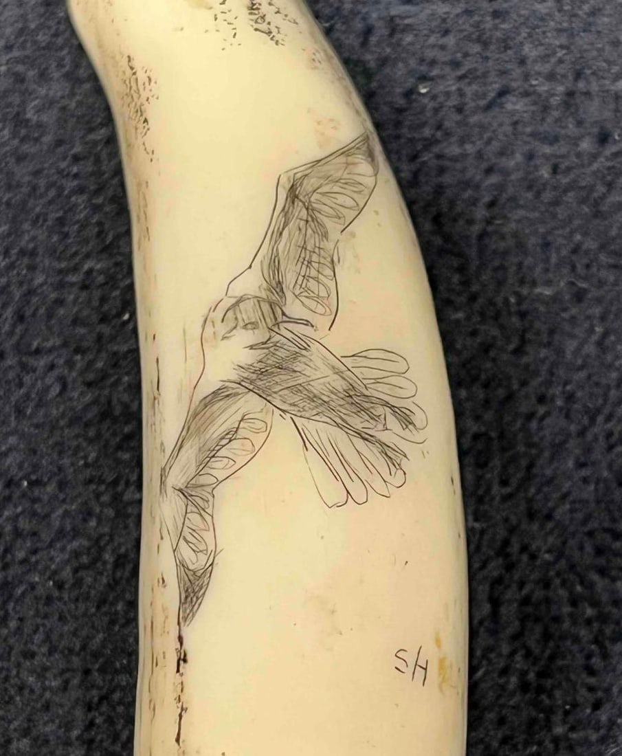 Hand Engraved Scrimshaw Tusk Signed SH (1 of 14)