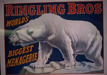 Kodak Transparent 4 X 5 Ringling Brothers Polar Bear: Kodak Transparent 4 X 5 Ringling Brothers Polar Bear. Here is a 4" x 5" Kodak Transparent of a vintage "Ringling Brothers" with images of a large polar bear. This could be made into prints with the ri
