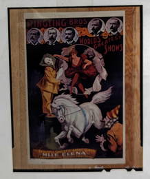 Kodak Transparent 4 X 5 Ringling Bros M'l'l'e Elena Poster