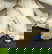 item-211090966=7