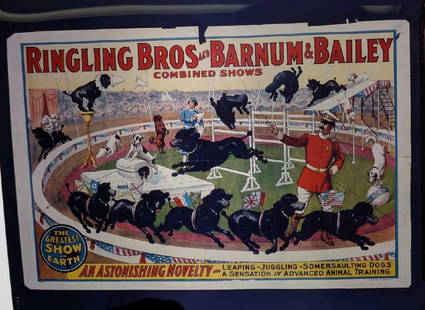 Kodak Transparent 4 X 5 Ringling Brothers Dog Show: Kodak Transparent 4 X 5 Ringling Brothers Dog Show. Here is a 4" x 5" Kodak Transparent of a vintage "Ringling Brothers And Barnum Circus" with images of a large group of dogs putting on a show. This