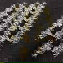 835 Silver Filigree Cannetille Fan Floral Earrings Set Eleven Earring Pairs