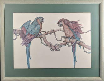 Large Framed Colorful Parrots Print P Breut Tropical