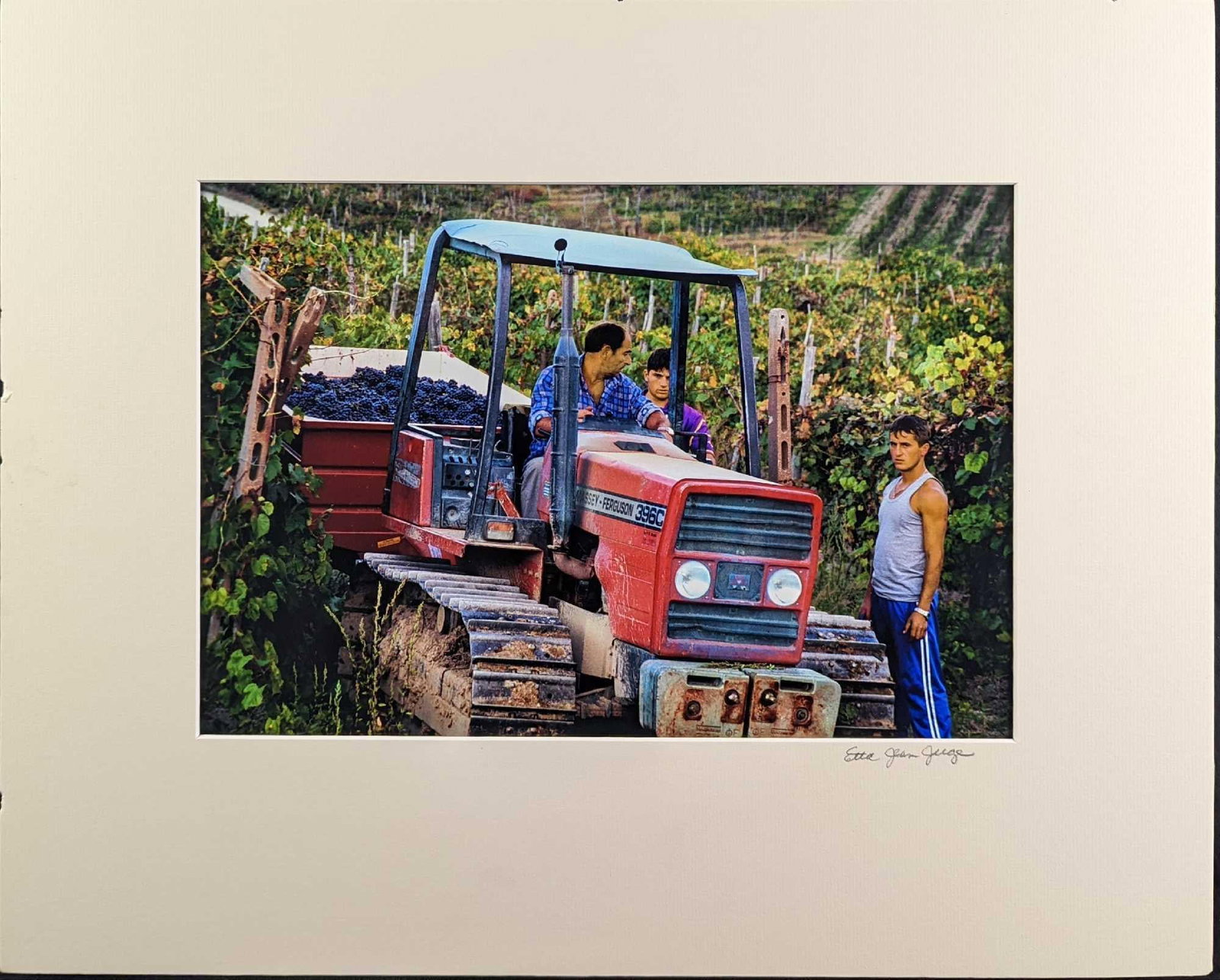 Matted Etta Jean Juge Tuscany Harvest Photo: Matted Etta Jean Juge Photgraph . The matted photo is approx 16" x 20" and it weighs 0.61lb. The image is approx 10" x 14 1/2". The matted photo is in a good, unused condition with som