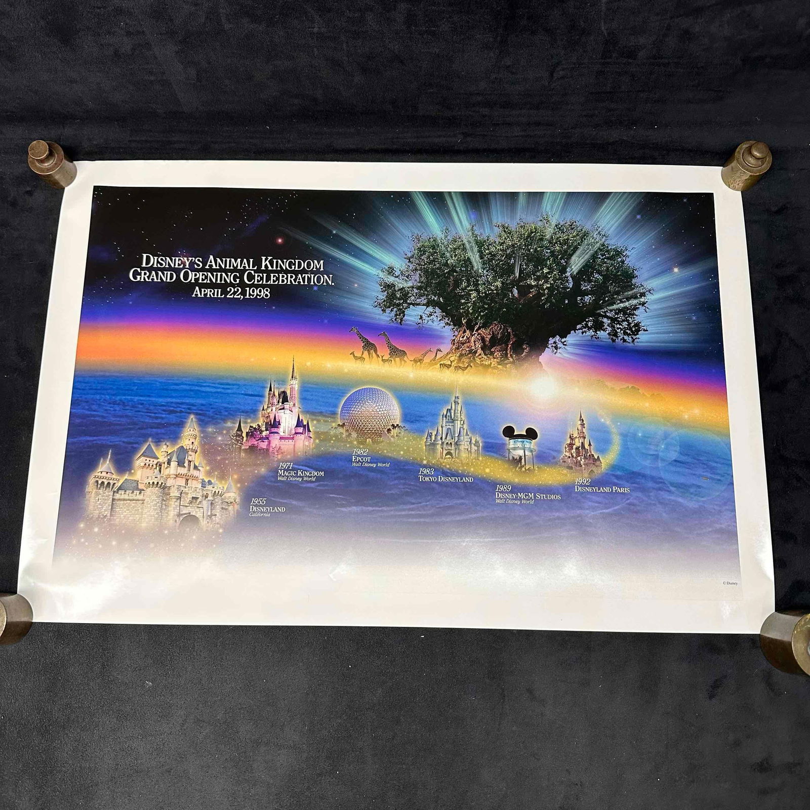 Disney's Animal Kingdom Grand Opening Celebration Poster: This item is in good pre-owned, previously displayed condition with light wear, and surface scratches. Please reference all photos for full details. Poster: 16" x 24". Rolled in Tube: 18"