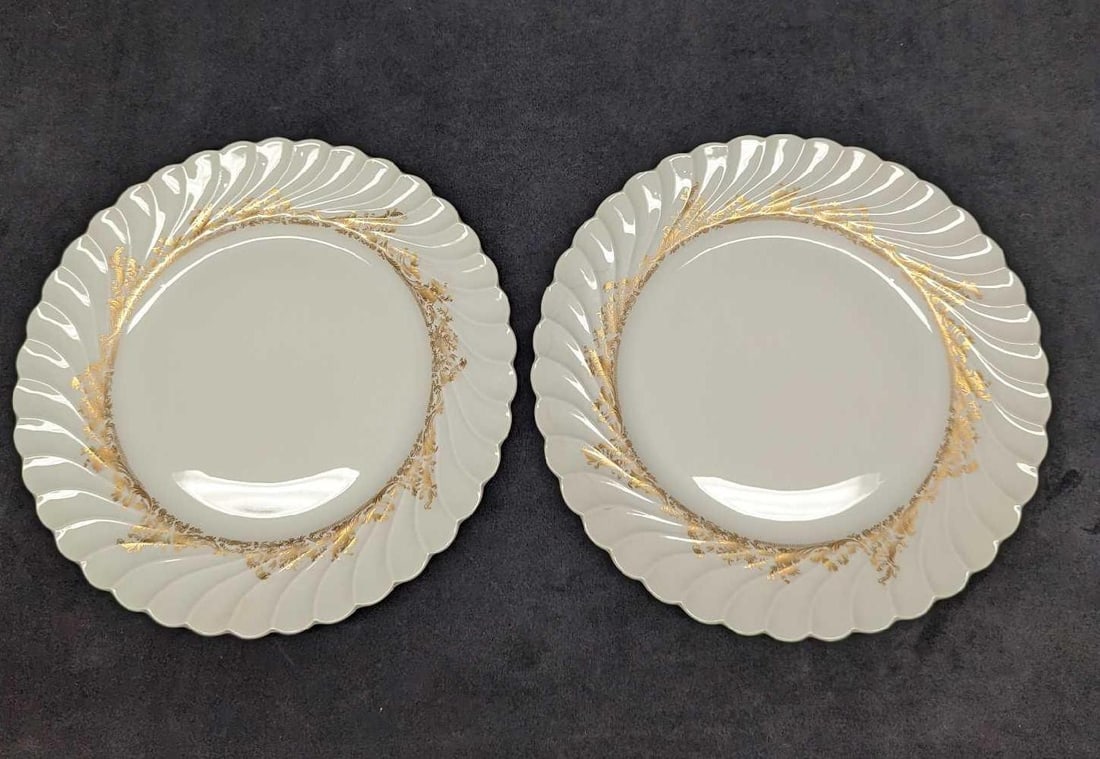 Retired Haviland Ladore 2 Dinner Plates: Retired Haviland Ladore 2 Dinner Plates. This Gold on White series of fine china was released in 1962 - 1988. The dinner plates are approx 10" x 10" x 1 1/8" and together they weigh 2.52lbs. The dinne