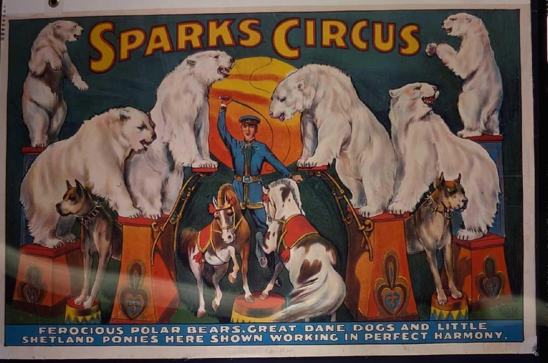 Kodak Transparent 4 X 5 Sparks Circus Polar Bears: Kodak Transparent 4 X 5 Sparks Circus Polar Bears. Here is a 4" x 5" Kodak Transparent of a vintage "Spark's Circus" that shows polar bears, dogs and horses. This could be made into prints with t