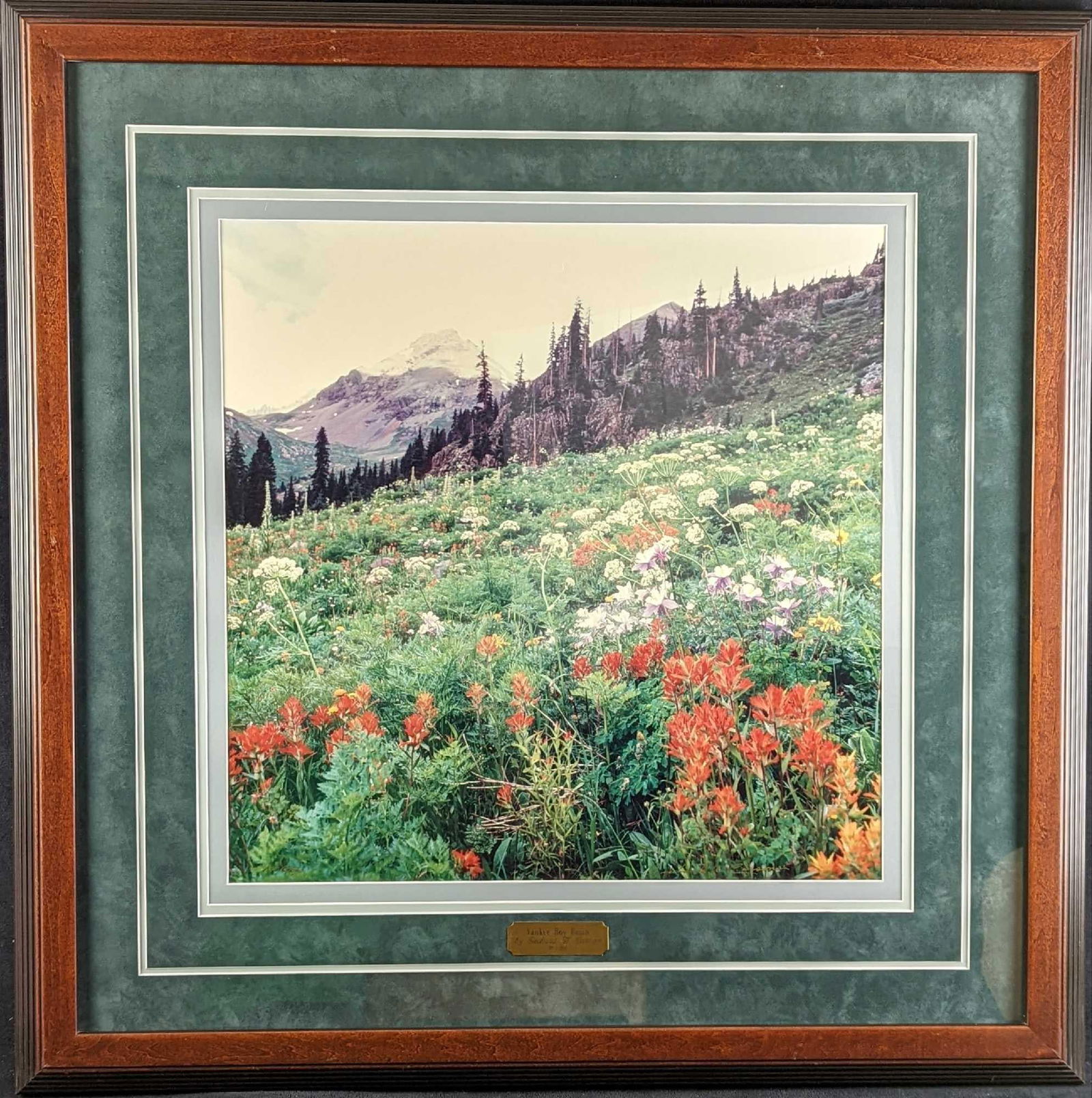 Framed Richard W Carson LE Yankee Boy Basin (1 of 6)