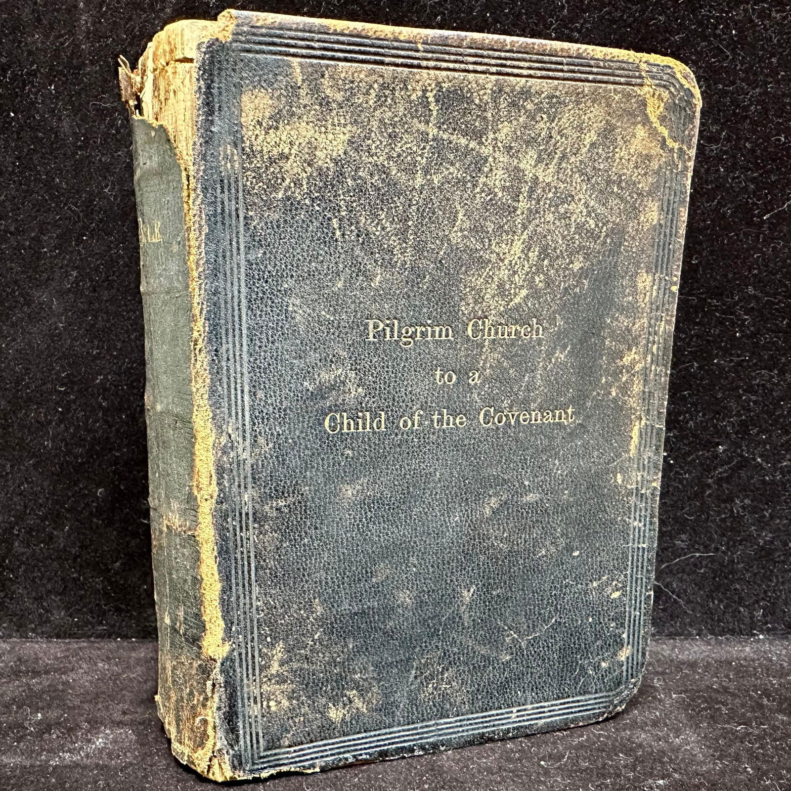 1883 American Bible Society Holy Bible Pilgrim Church to a Child of the Covenant 1st Edition (1 of 12)
