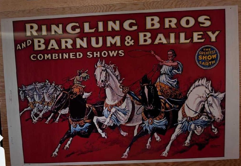 Kodak Transparent 4 X 5 Ringling Brothers White Horses (1 of 3)