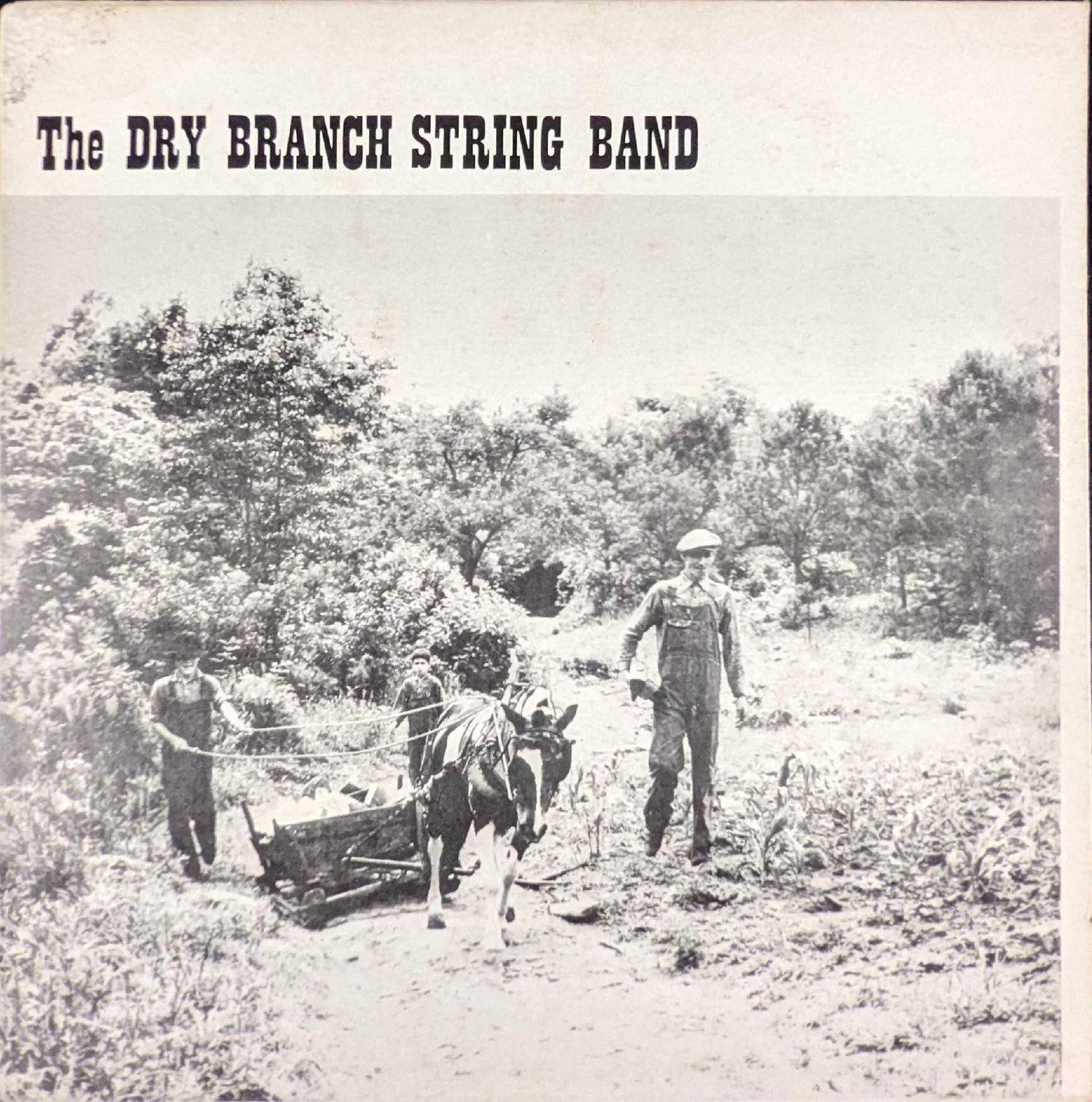 The Dry Branch String Band Bluegrass LP (1 of 4)