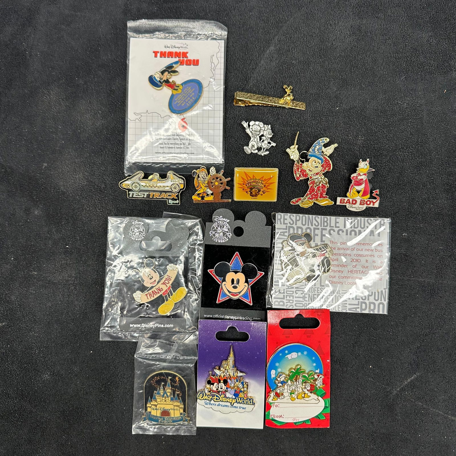 Lot of Fourteen Disney Pins and Accessories WDW Disneyland Mixed Styles (1 of 9)