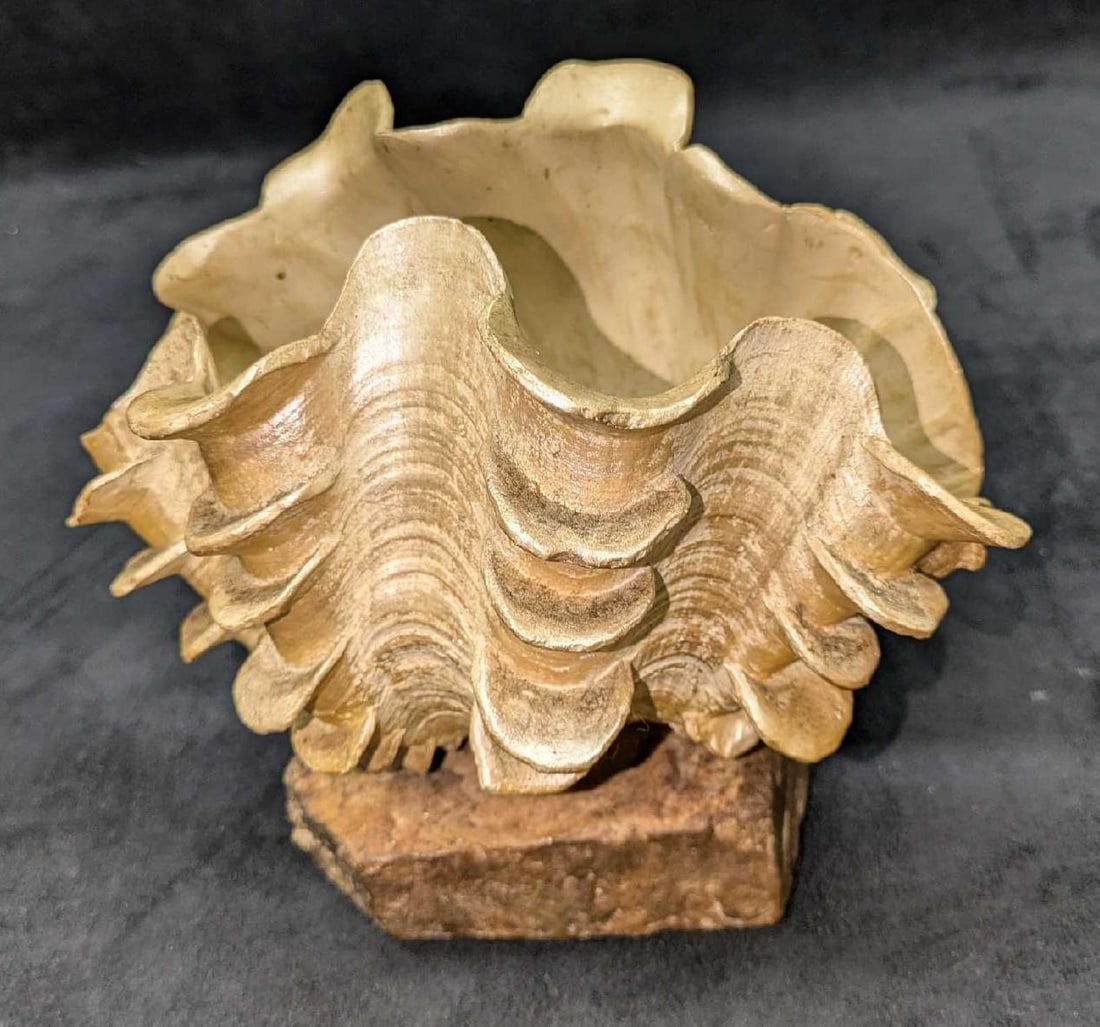 Ruffled Full Large Faux Clam Seashell On A Stand: Ruffled Full Large Faux Clam Seashell On A Stand. This is approx 8 1/2" x 6" x 7" and it weighs 3.92lbs. There is some residue inside the shell. Please see the images as they are part of the descripti