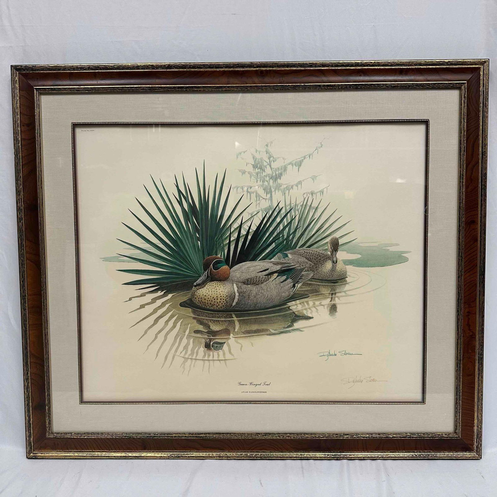 Richard Sloan Green-Winged Teal Framed Art Print Artist Signed R153: Classic wildlife art featuring a pair of green-winged teal ducks swimming, this framed art print by Richard Sloan. The frame is wood two toned with a double layer type design. Artist signature in the