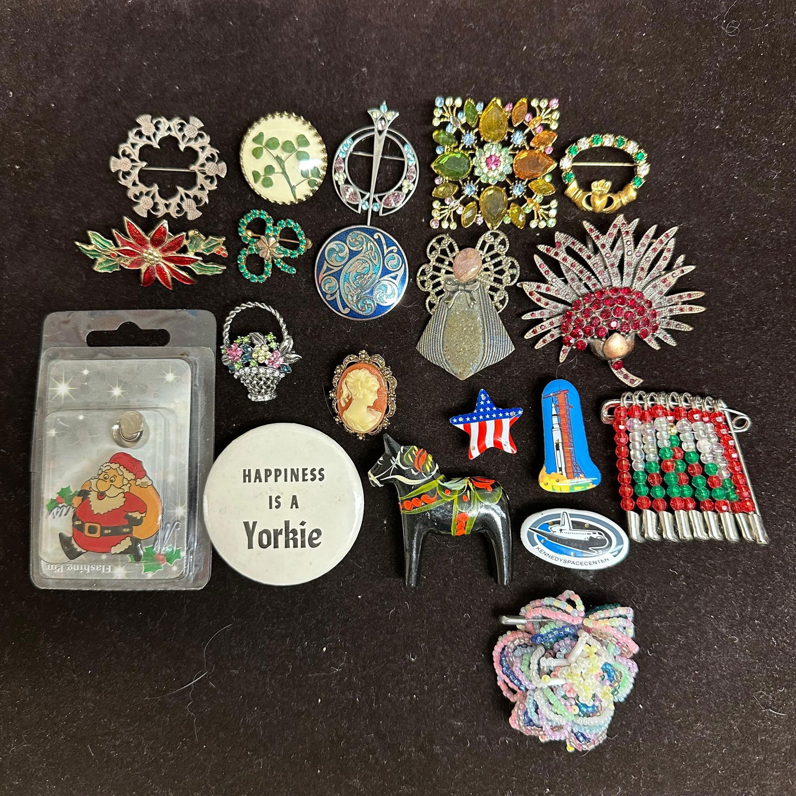 Mixed Design Lot of Brooches and Pins Rhinestone Cameo Holiday Space Center Yorkie Solvar and More (1 of 7)