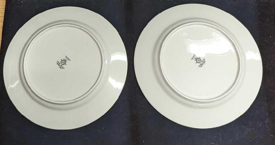 2 Retired Noritake Blossom Time Dinner Plates E - 4