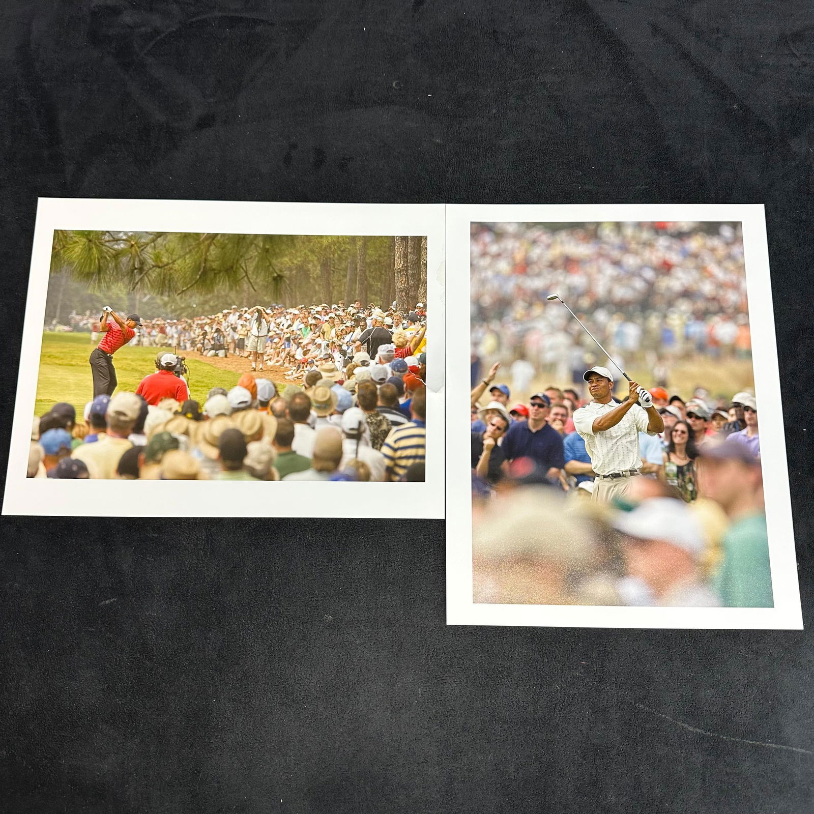 Set of Two Color Golf Photography Prints Tiger Woods Tournament Action Shots: Pair of high-quality color photography prints depicting professional golfer Tiger Woods during tournament play. One image shows Woods in his signature red shirt mid-swing, surrounded by a large galler