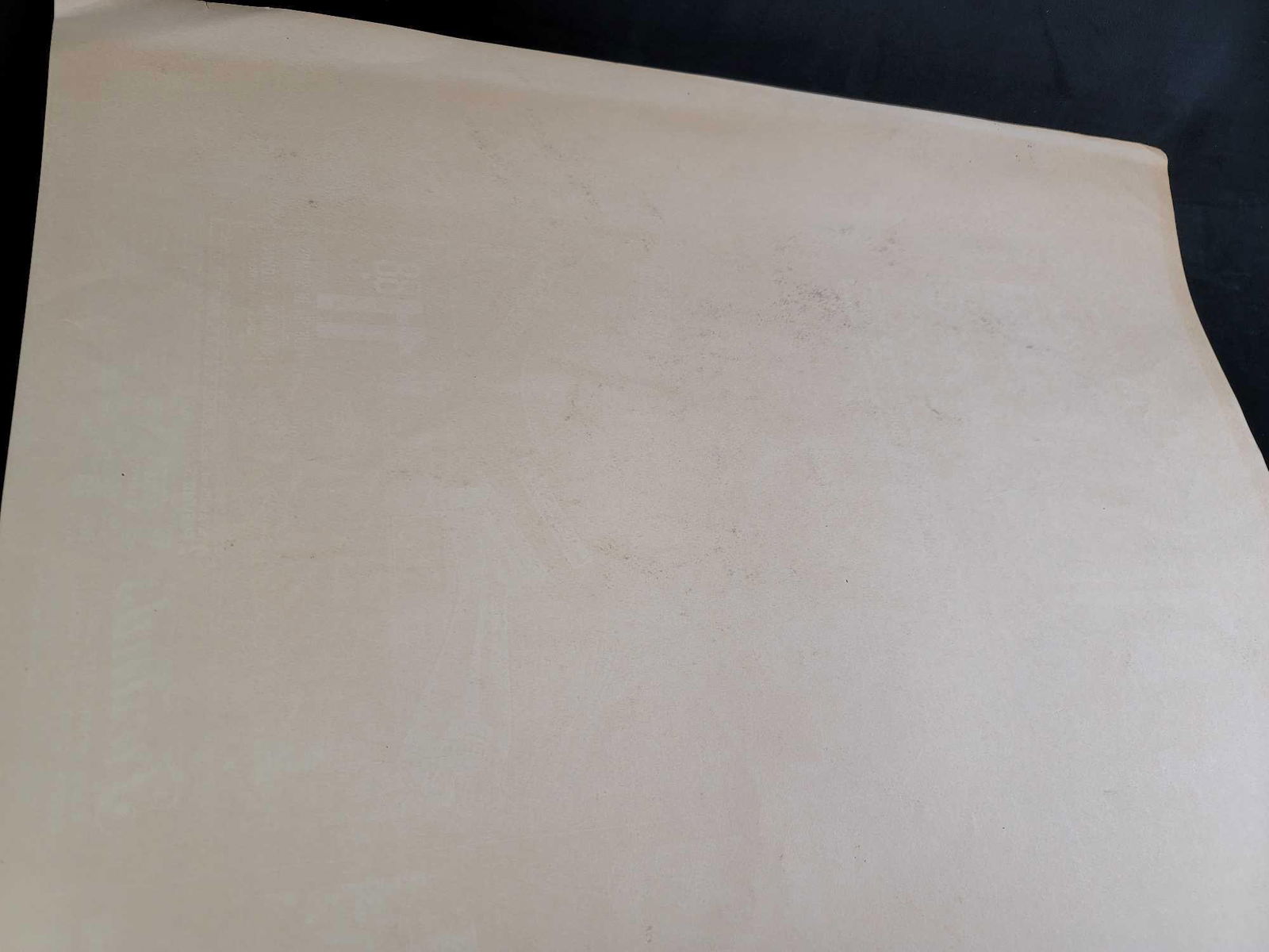 Large Original Still Life - 5