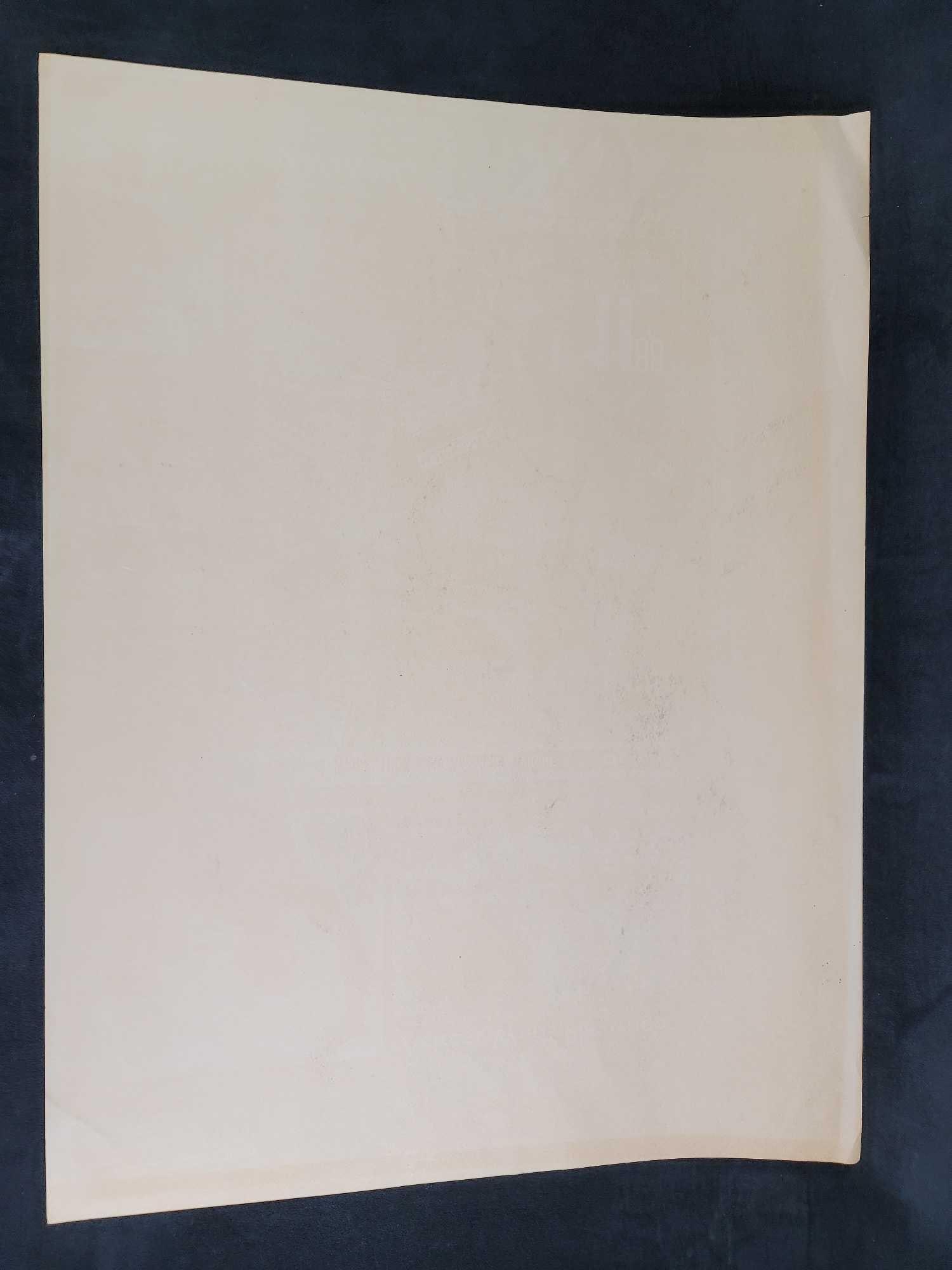 Large Original Still Life - 6