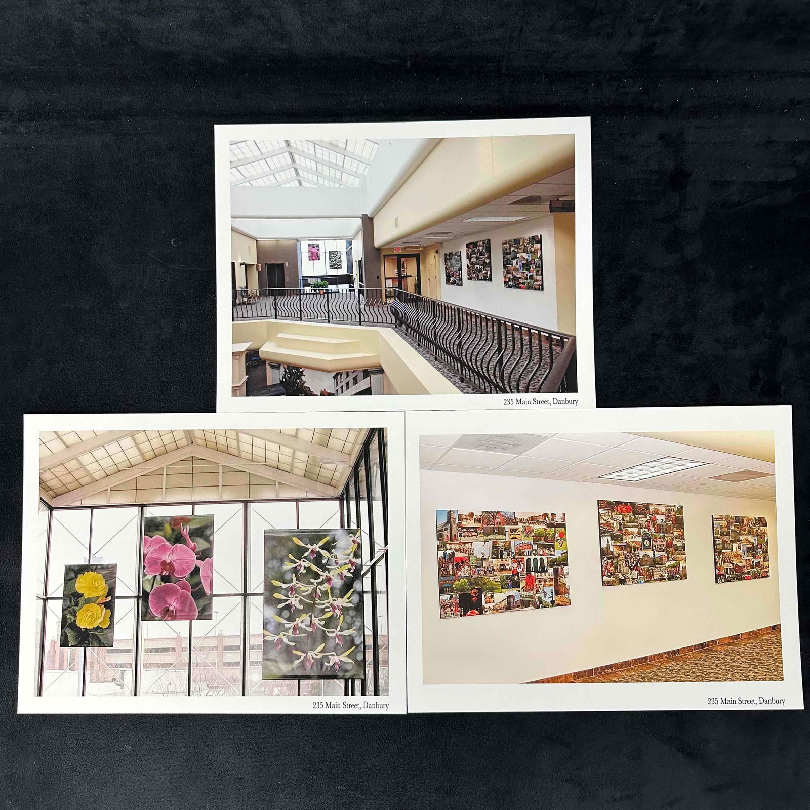 Set of Three Architectural and Floral Photo Prints 235 Main Street Danbury: Collection of three photographic prints depicting the art installations at 235 Main Street, Danbury. Images include the bright atrium with collage panels, hanging botanical floral prints with natural