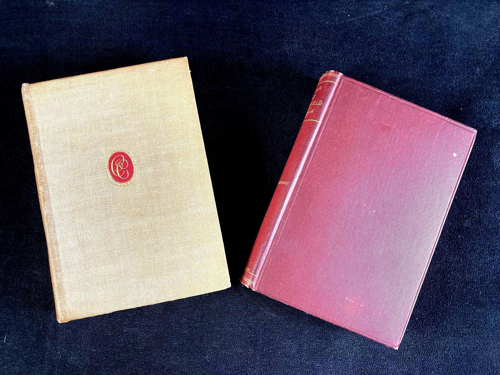 Set of (2) Books Non-Fiction and Poetry: Up for auction are two recent estate finds, one is titled Selected Poems by Robert Browning and the other is Vicar of Wakefield by Oliver Goldsmith. Two editions of nonfiction and poetry from the