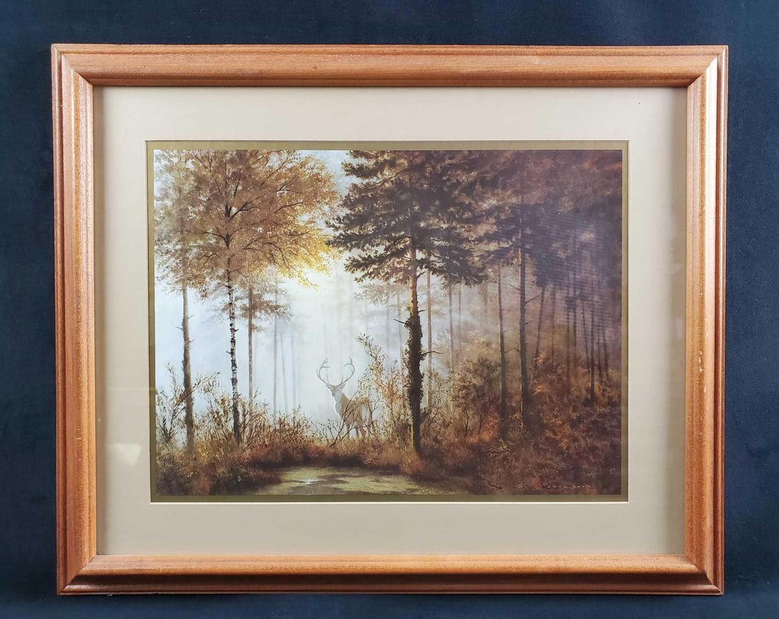 Quiet Forest Deer Stag Print by Gerald Coulson (1 of 8)