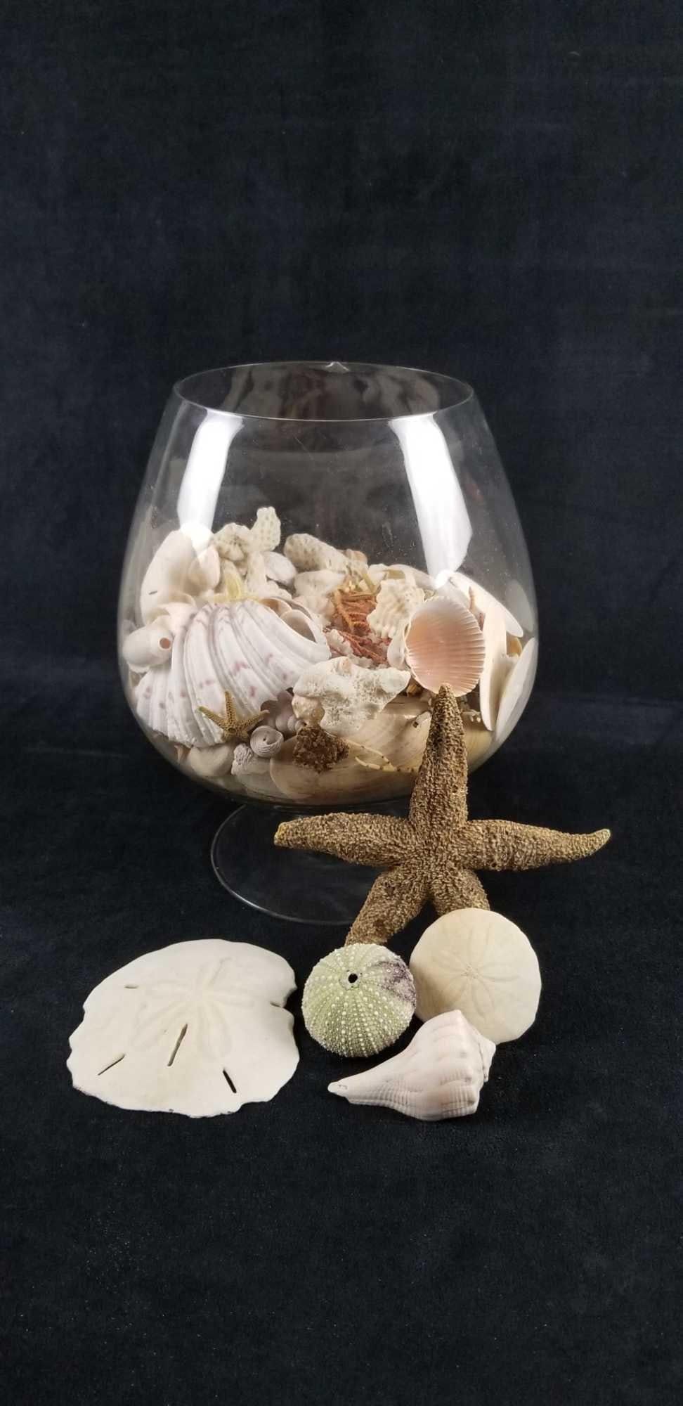 Nautical Seashell Glass Bowl (1 of 7)