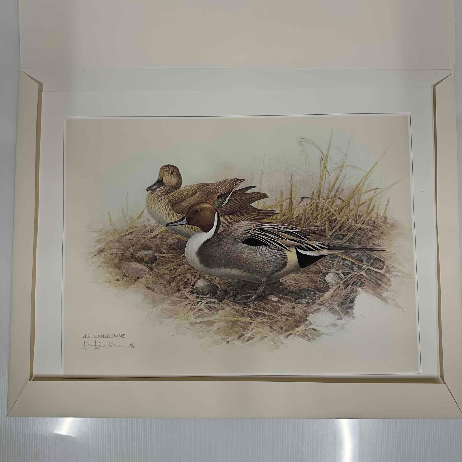 J. Fenwick Lansdowne Limited Edition Print Pintail Ducks Signed & Numbered 914/1500 (1 of 9)