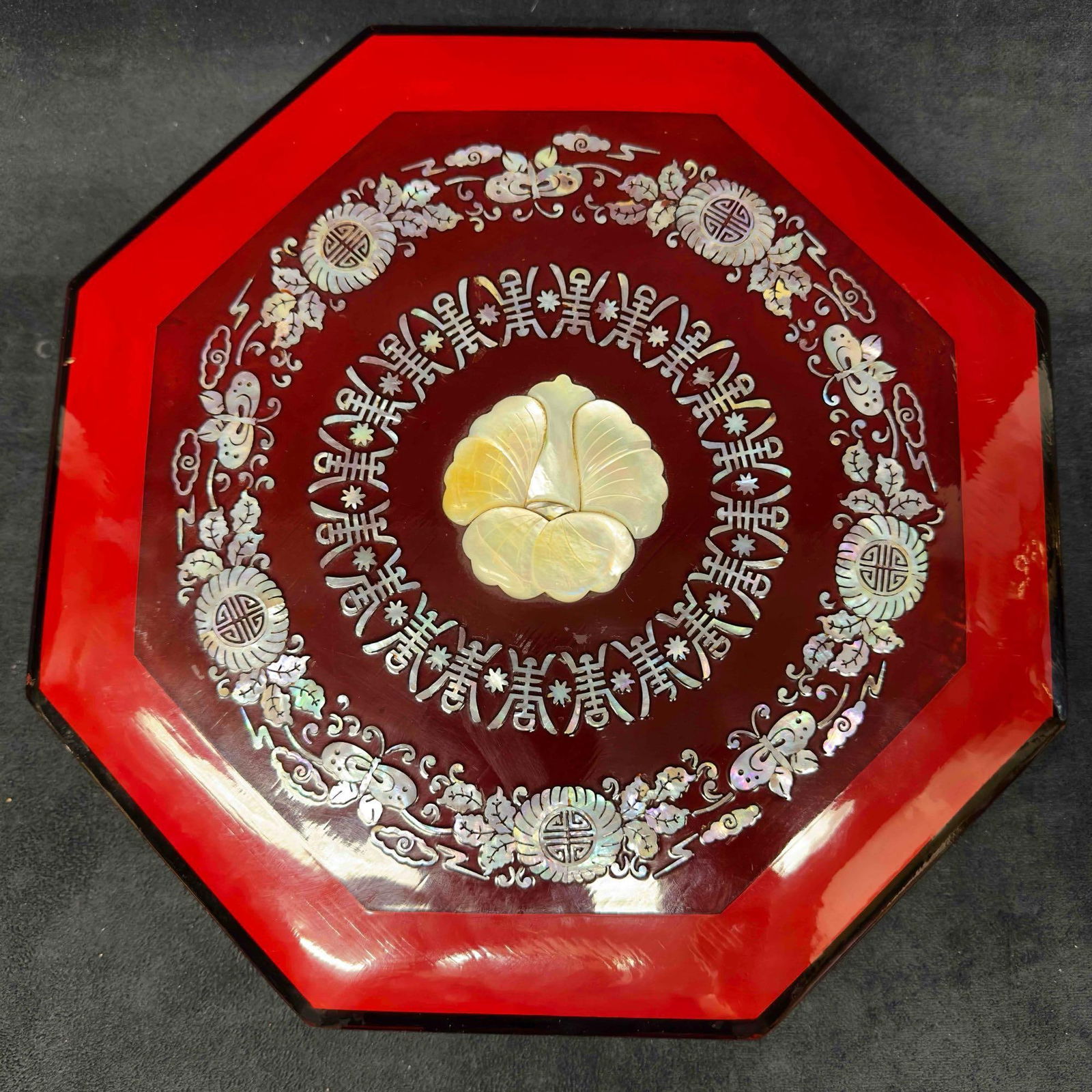 Cowrie Carved Sea Shell Panama Beach Souvenir Collectible Decor Set of Eight 8 (1 of 14)