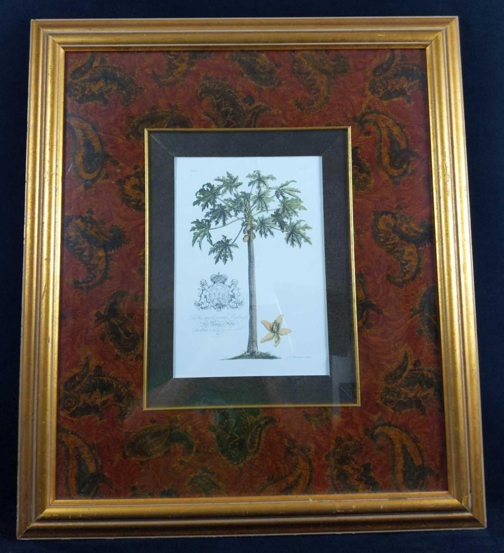 GD Ehret Delin And Sculp Botanical Litho Print (1 of 7)