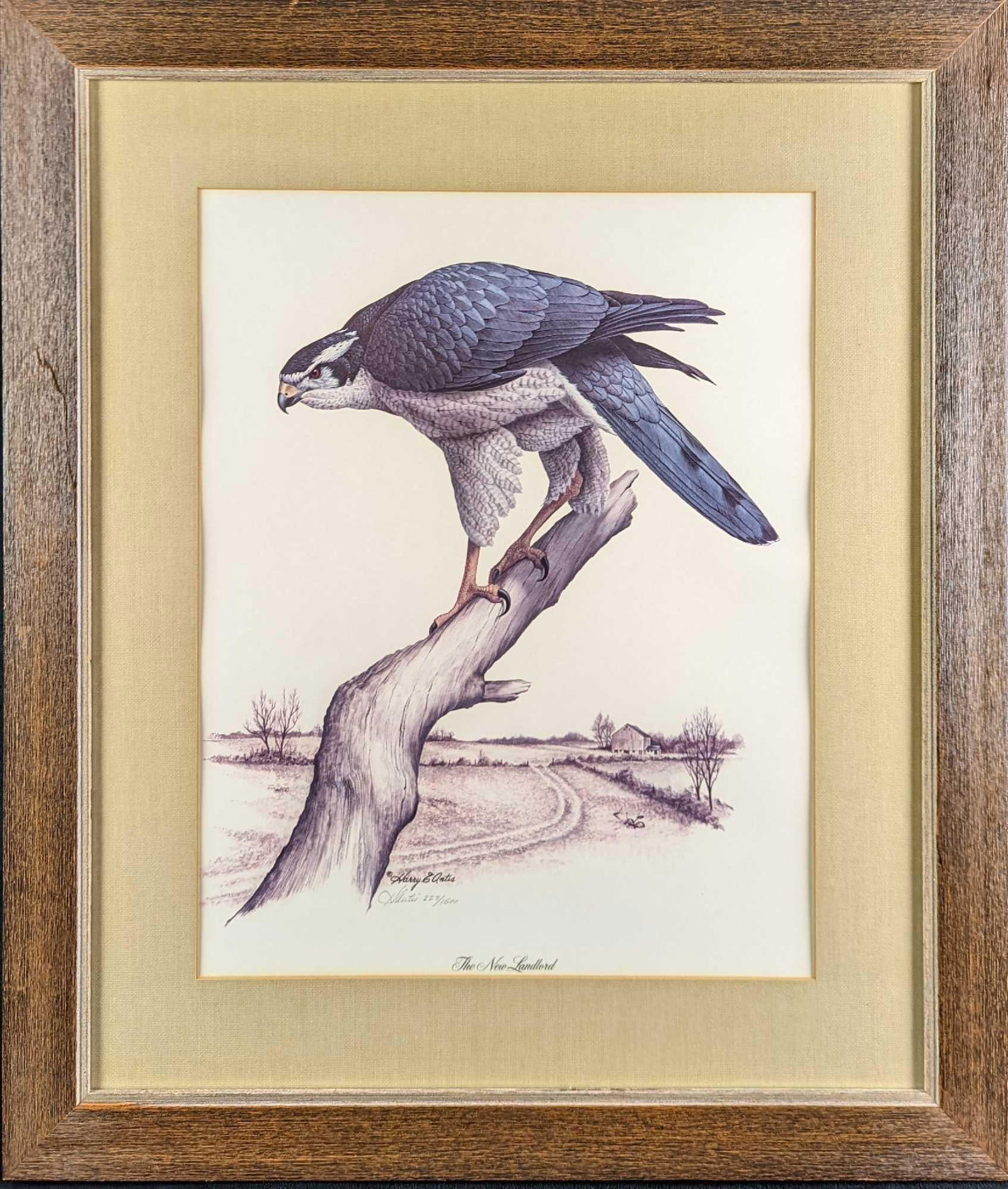 Framed "The New Landlord" Print By Harry E Antis (1 of 5)