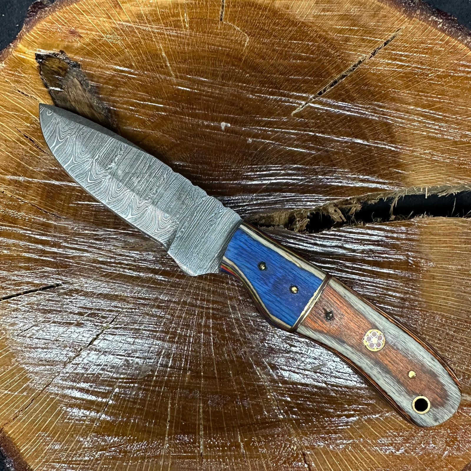 MHS Cutlery Fixed Blade Knife Blue Handle with Leather Sheath P45: Fixed blade knife by MHS Cutlery featuring a textured steel blade with a plain cutting edge and decorative spine work. The handle has a contoured, blue and multicolor resin-style grip with metal
