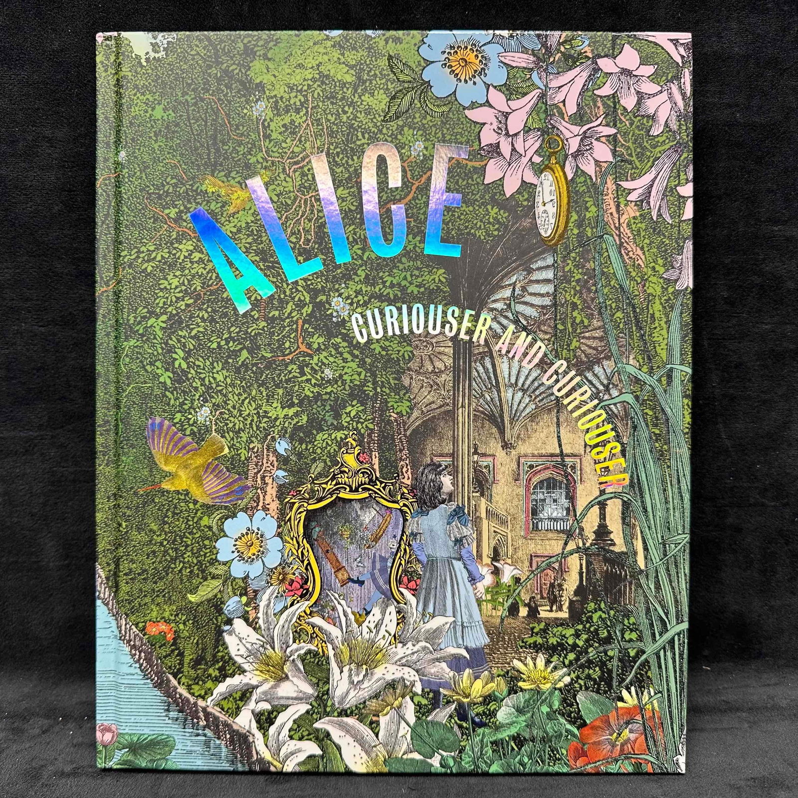 Alice Curiouser and Curiouser by Kate Bailey and Simon Sladen V&A Publishing (1 of 7)